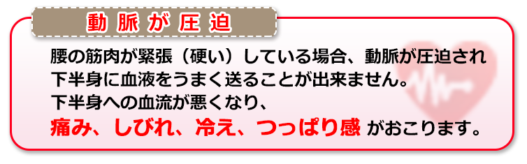 腰の筋肉が緊張（硬い）している場合、動脈が圧迫され下半身に血液をうまく送ることが出来ません。下半身への血流が悪くなり、痛み、しびれ、冷え、つっぱり感がおこります。