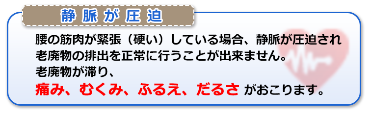 腰の筋肉が緊張（硬い）している場合、静脈が圧迫され老廃物の排出を正常に行うことが出来ません。老廃物が滞り、痛み、むくみ、ふるえ、だるさがおこります。